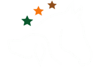 TIERISCH BEWUSST GEWUSST